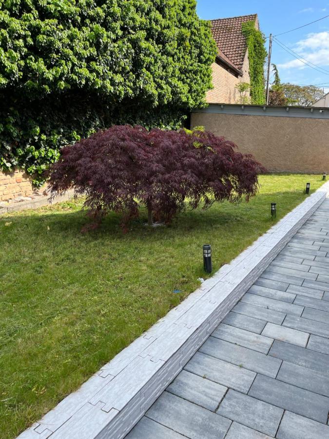 Logement De Charme - W&B House Dorlisheim المظهر الخارجي الصورة